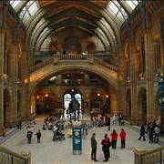 Natural History Museum 1